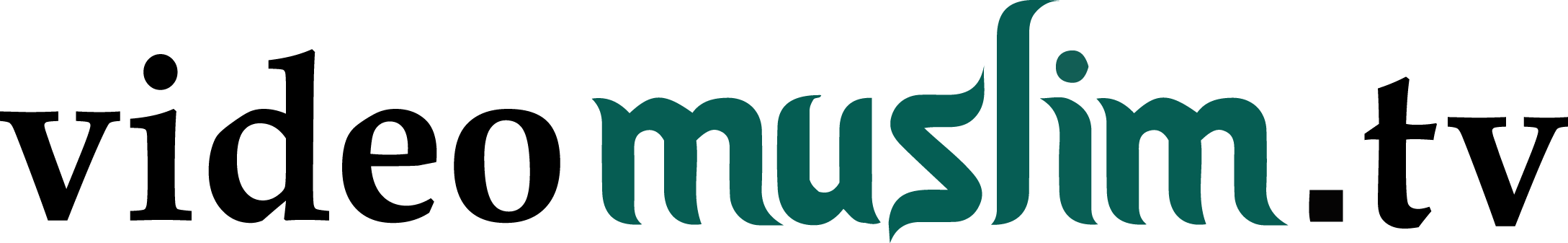 Logo Video Muslim TV
